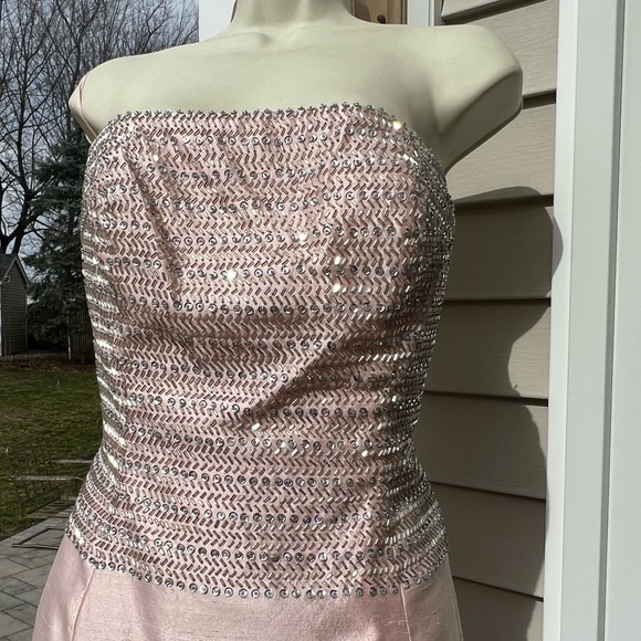 NWT Basix II Santung Silk Light Pink Prom Dress - Picture 3 of 5